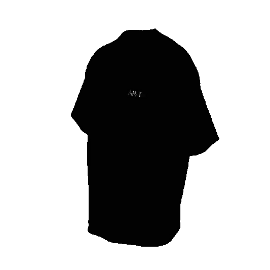 AR-T Boxy Tee - Distorted Mona Lisa